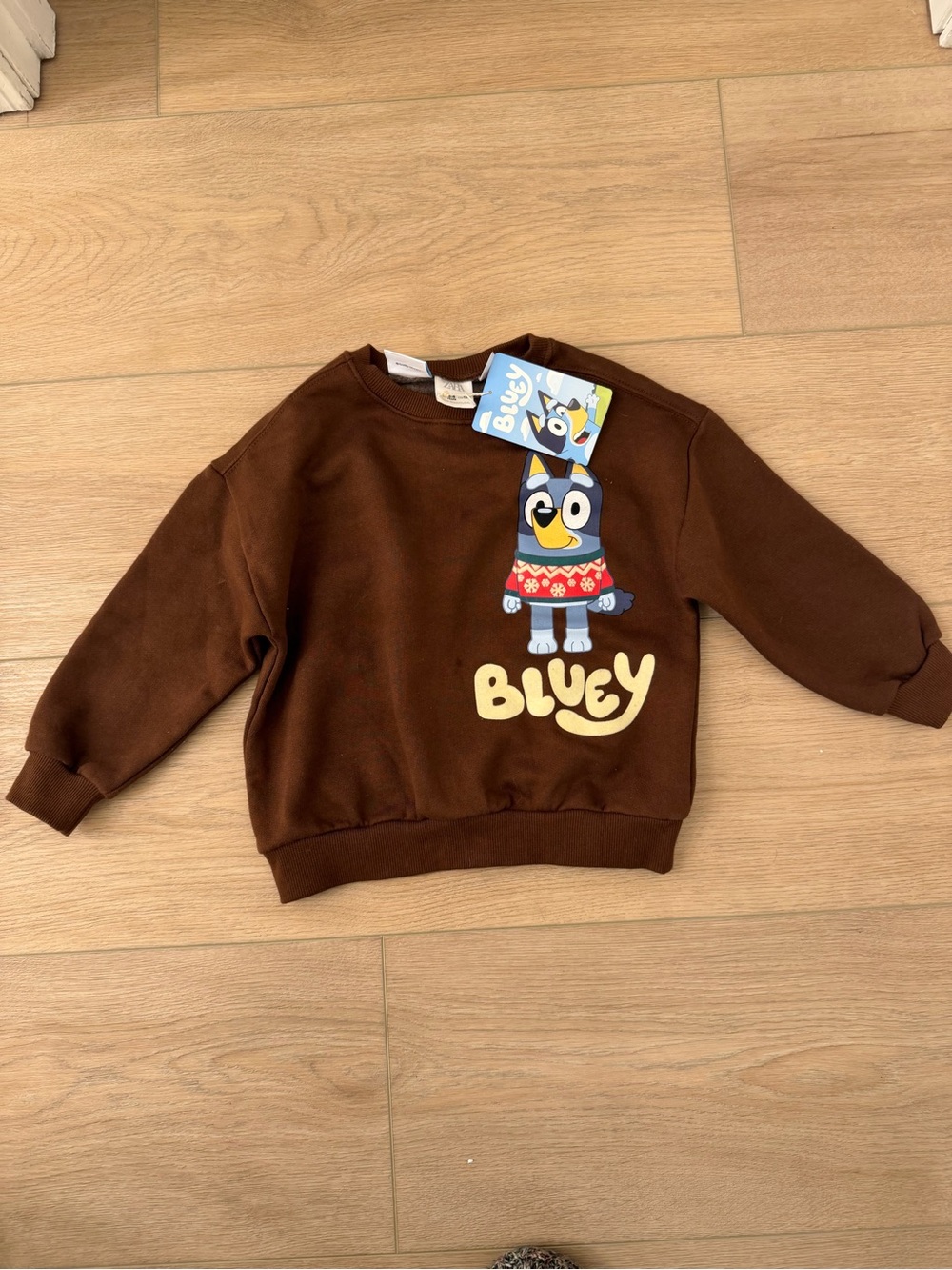Bluey X Zara Brown Graphic Crewneck Sweatshirt